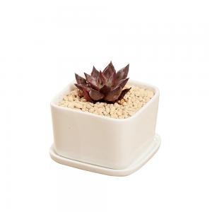 Cheap small white square ceramic flower pots planters 