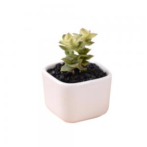 Cheap mini white square ceramic flower pots planters 