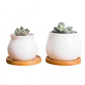 Wholesale custom white ceramic succulents flower pots planters 